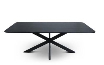 tafel mango zwart 300 cm